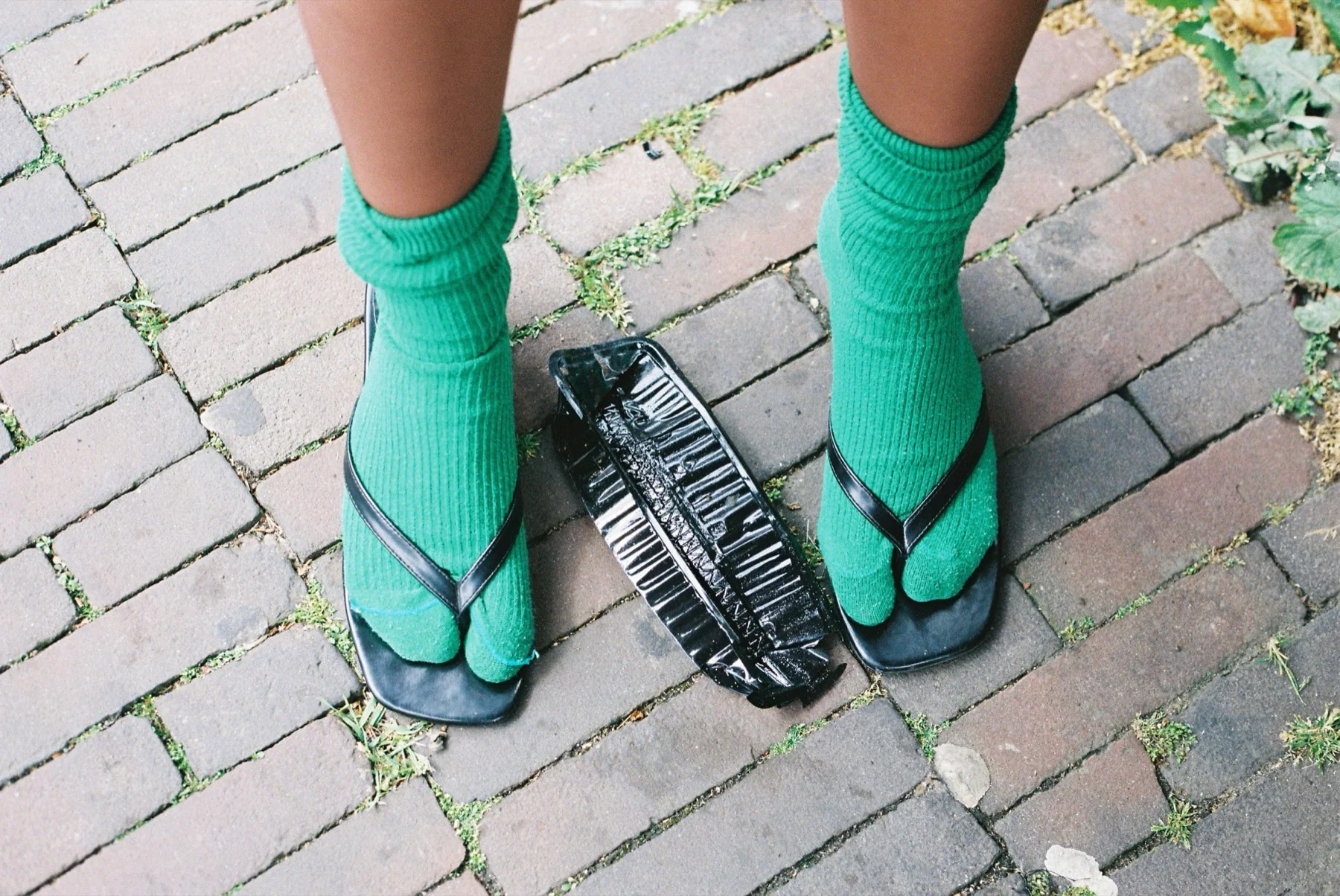 Olivia Knechtel, image 4